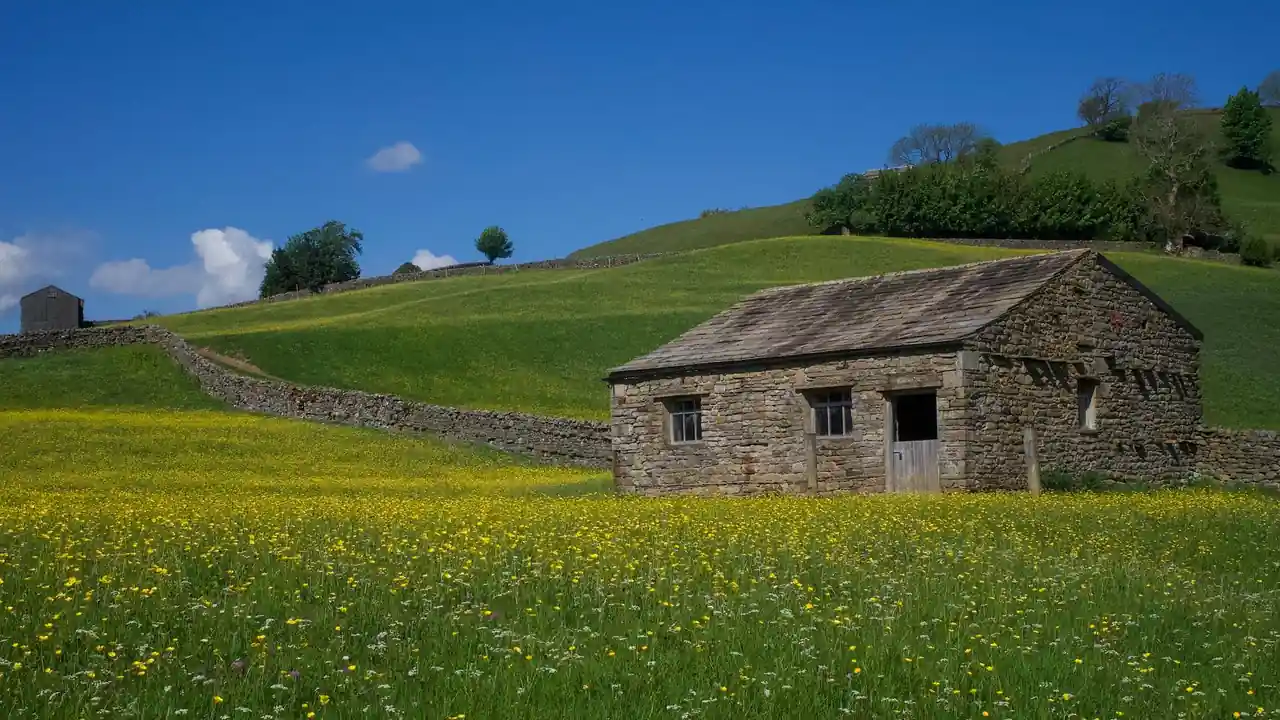 如何免费观看已满18岁电视剧下载安装最新版
