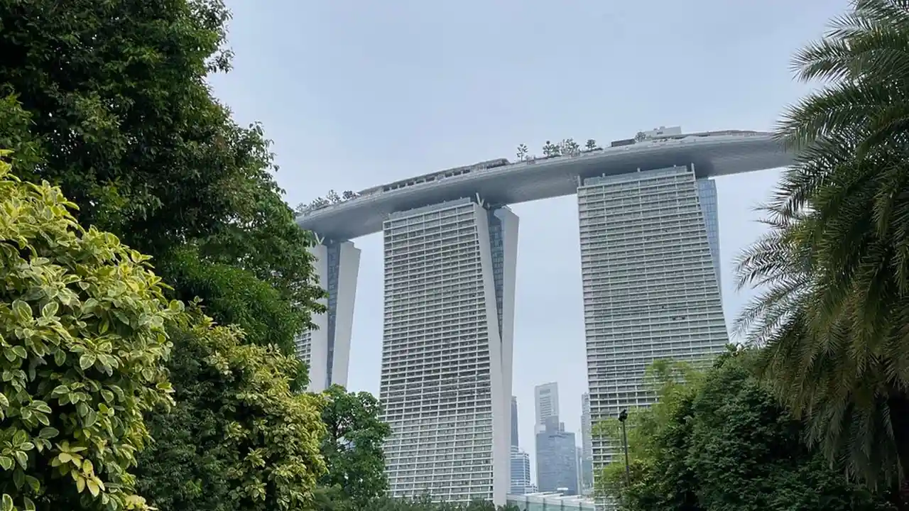 林欣喜头像